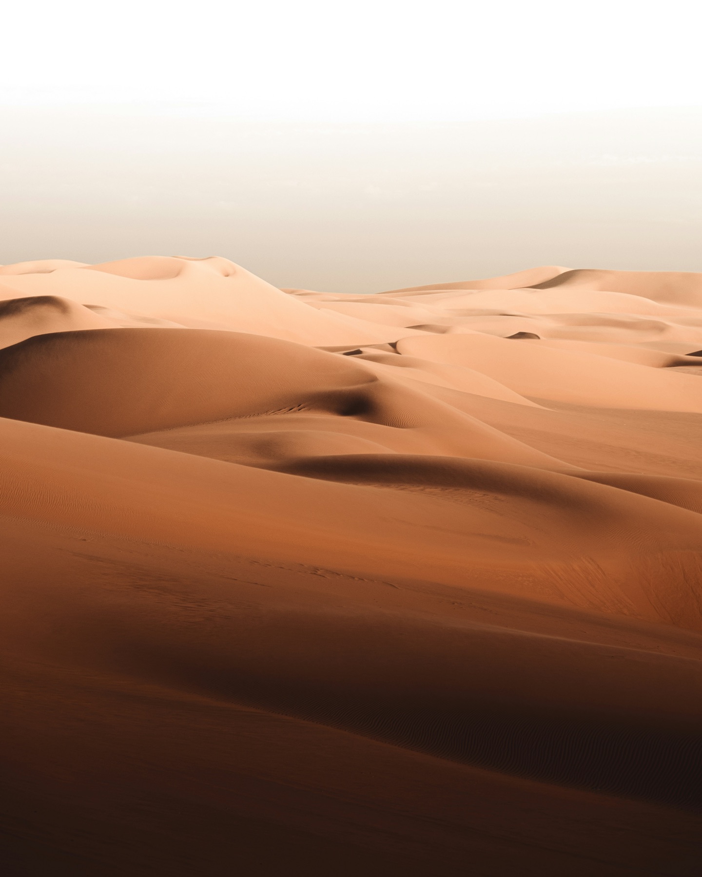 Dunas del desierto al atardecer